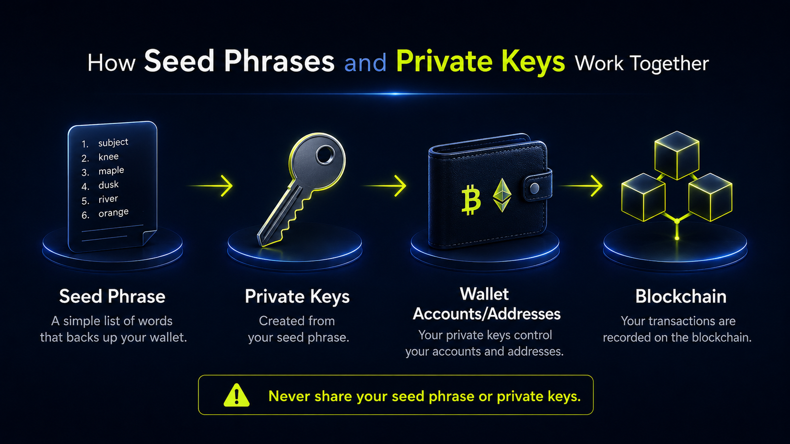 Infographic showing how a seed phrase creates private keys, which control wallet accounts and addresses used to record transactions on the blockchain.